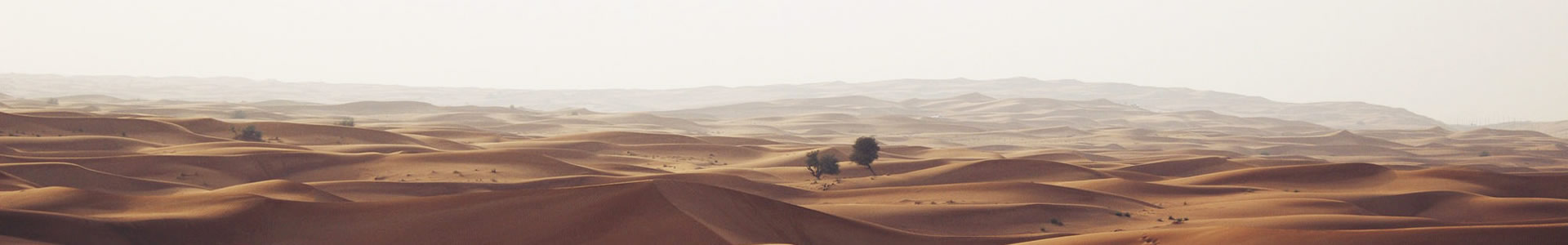 ɽԶƼ޹˾